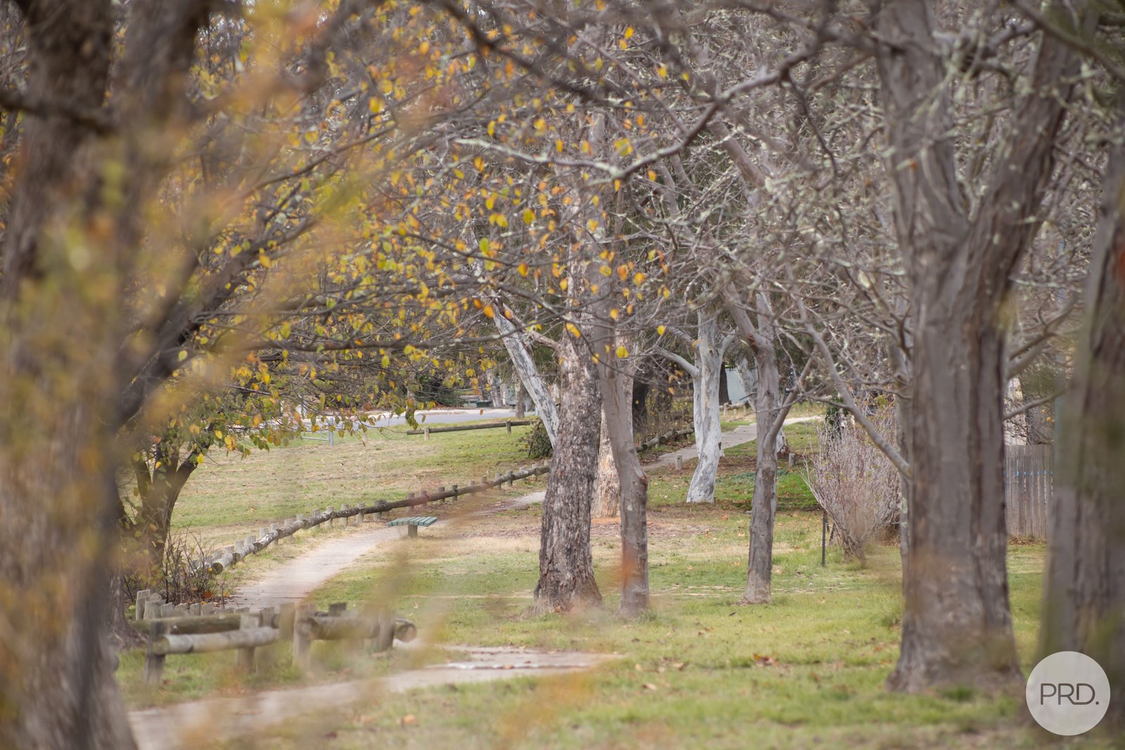 5 Fristrom Crescent LYNEHAM 15