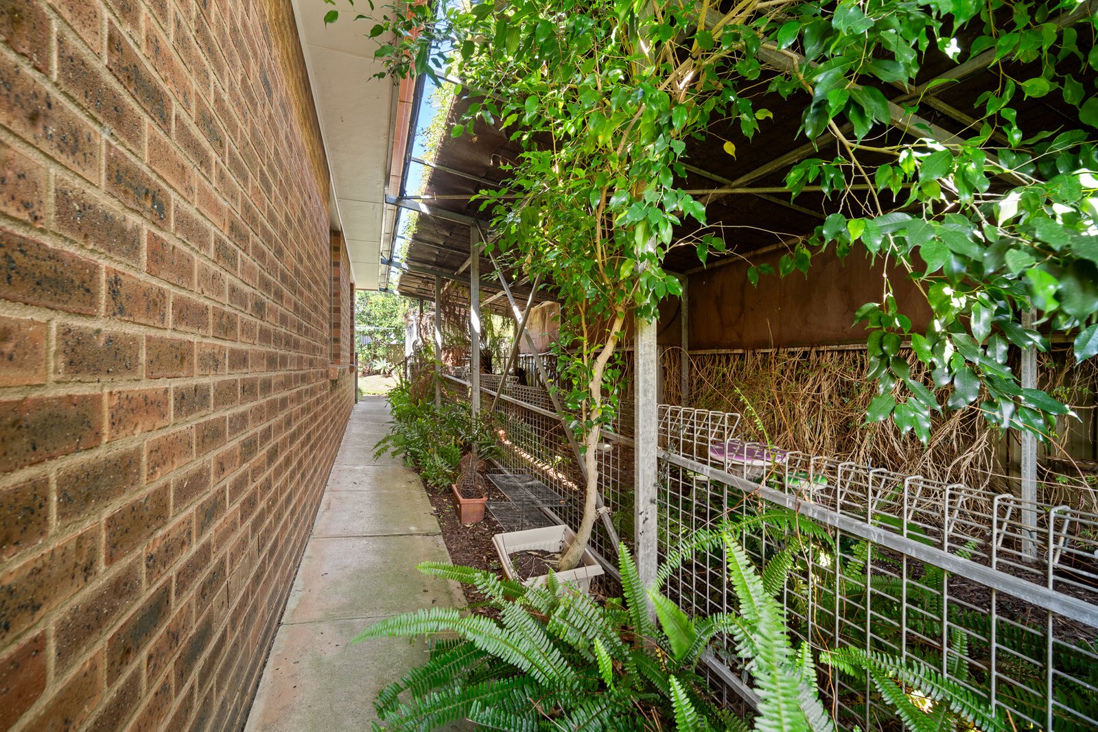 5 Glenvale Place BOURKELANDS 19