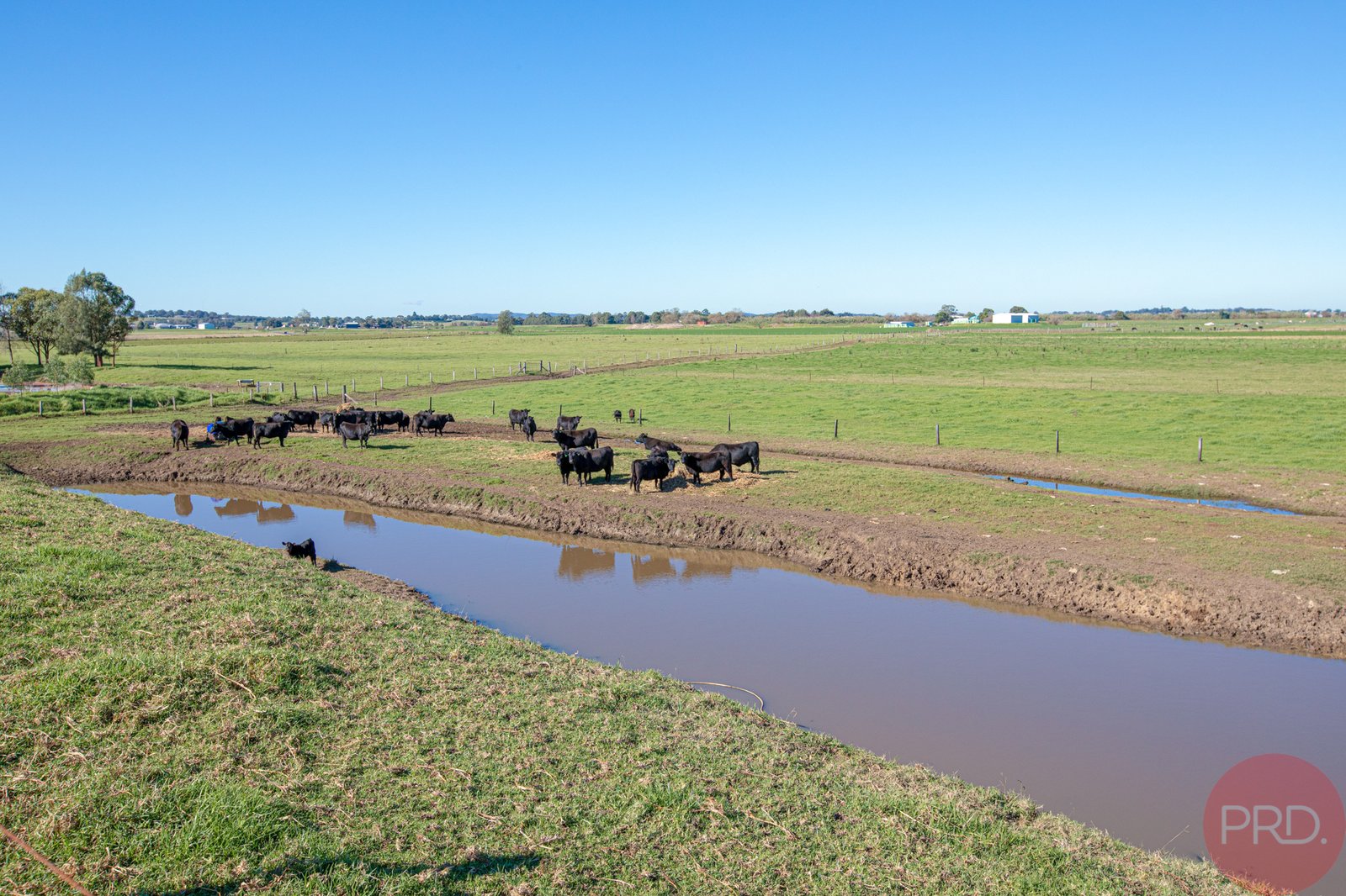 5 Goulburn Grove Road LARGS 5