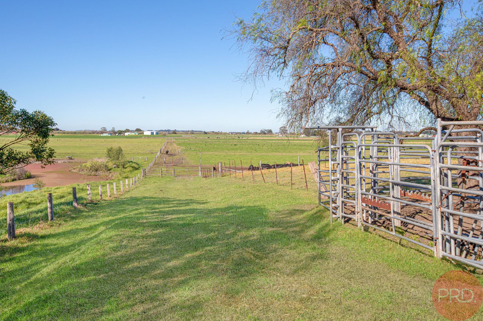 5 Goulburn Grove Road LARGS 16