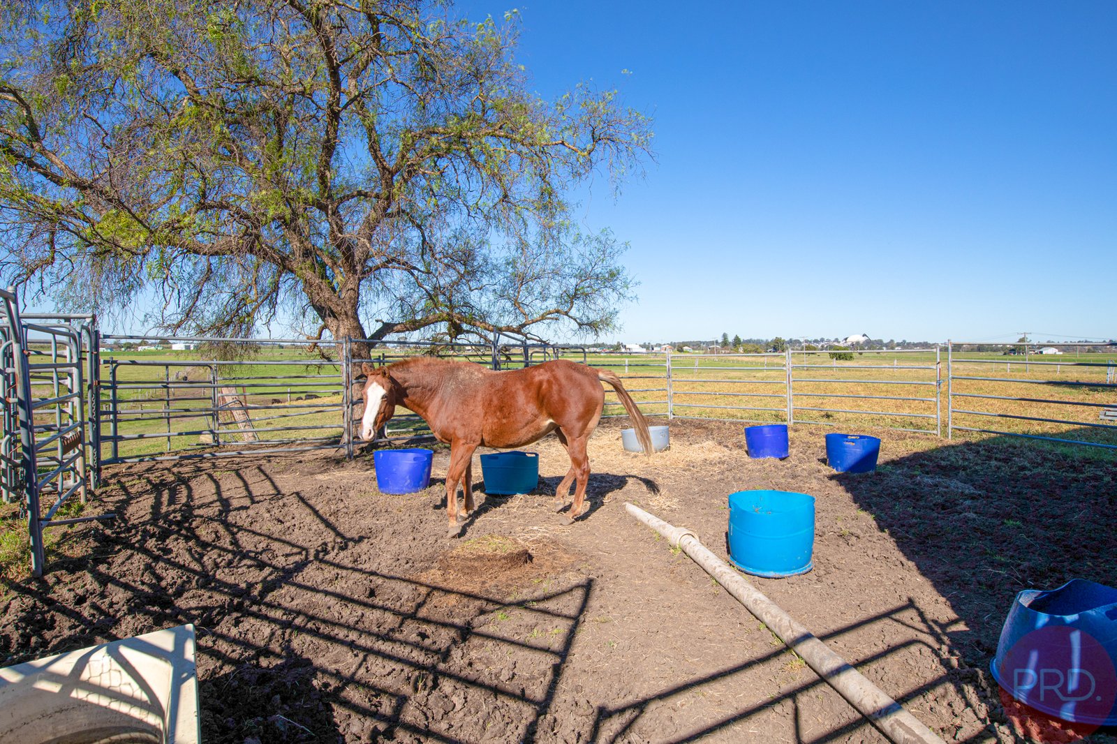 5 Goulburn Grove Road LARGS 21