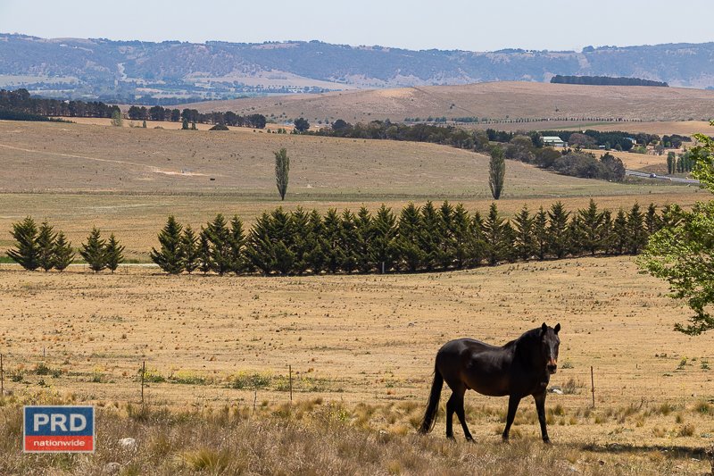 5 Greenhill Lane BUNGENDORE 21