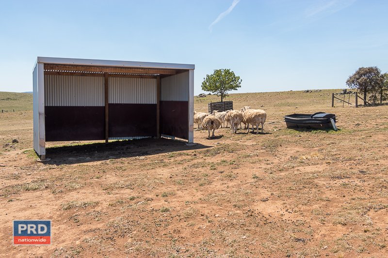 5 Greenhill Lane BUNGENDORE 22