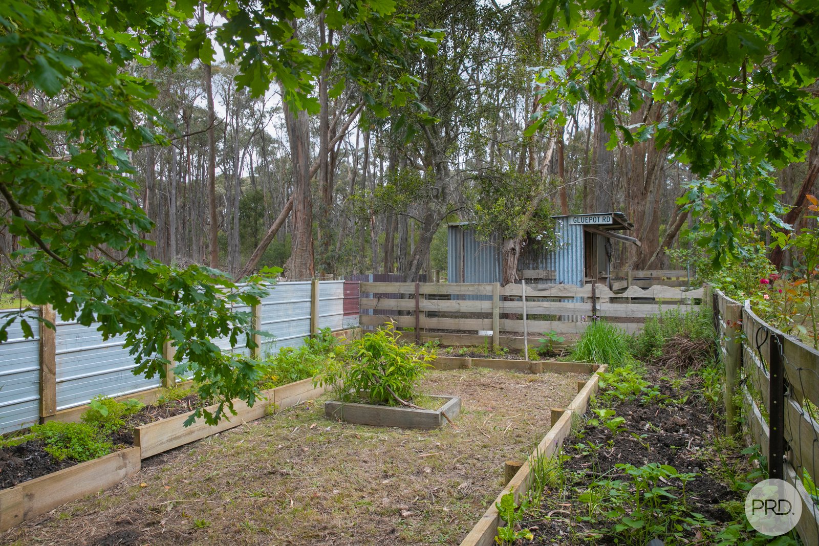 5 Grevillea Drive ENFIELD 18