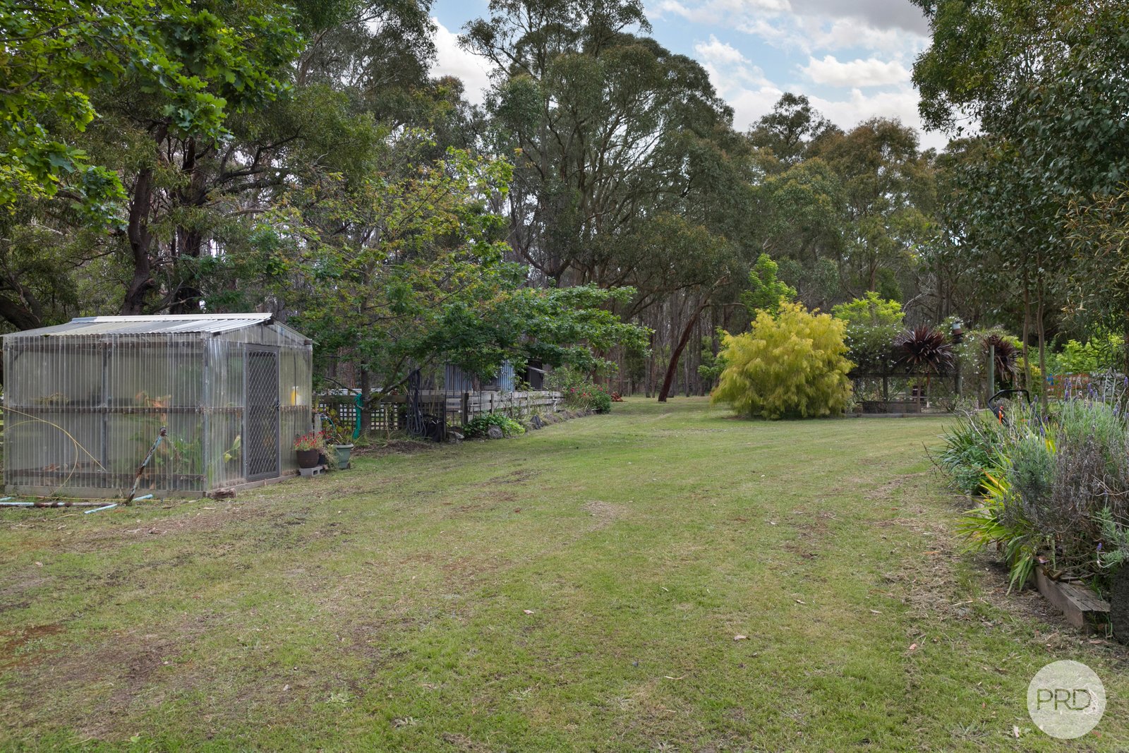 5 Grevillea Drive ENFIELD 19