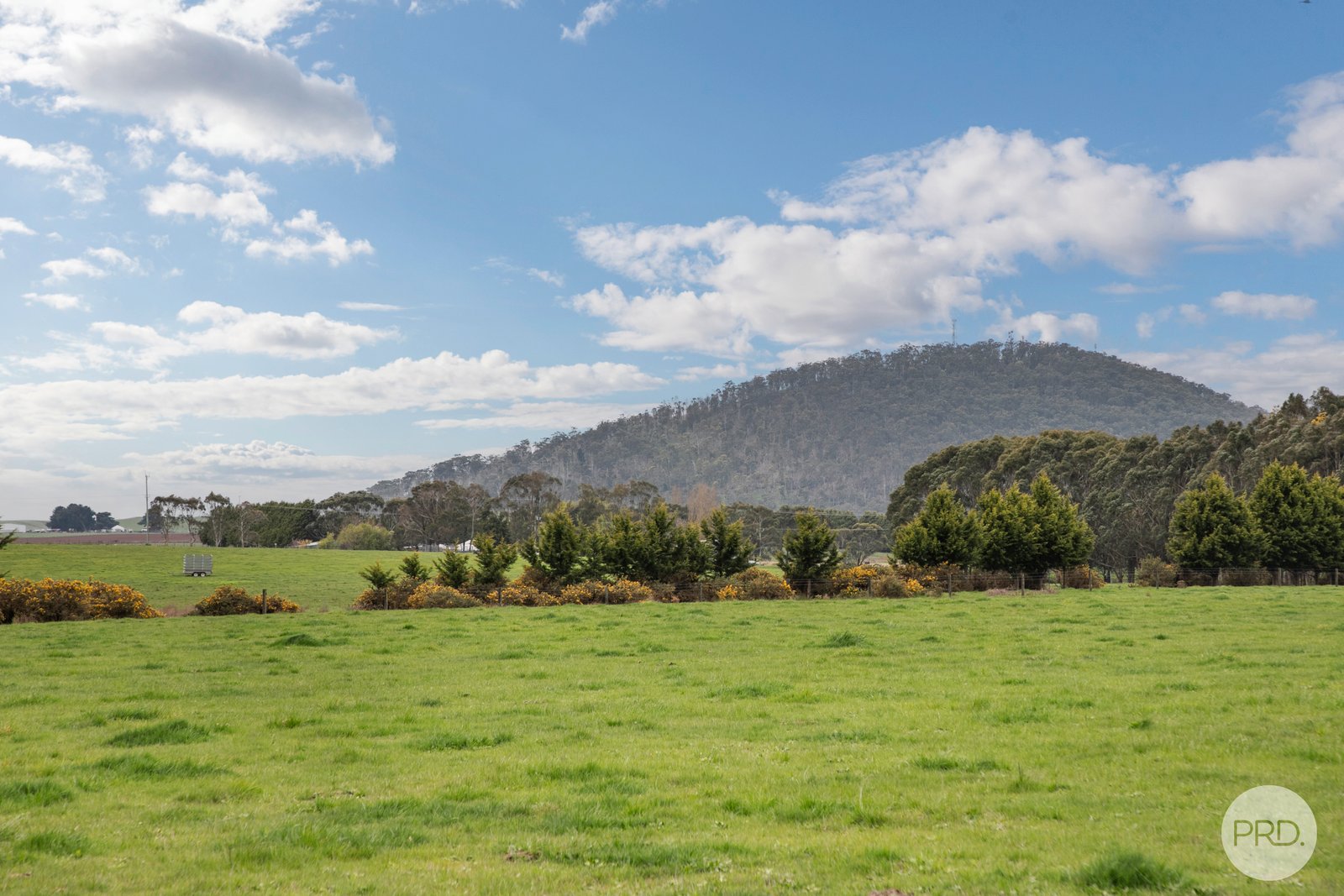 5 Hansons Road DUNNSTOWN 7