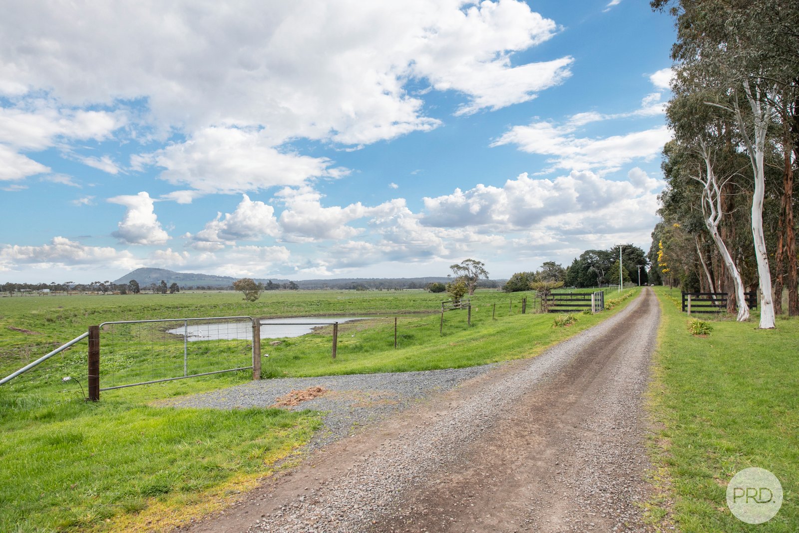 5 Hansons Road DUNNSTOWN 11