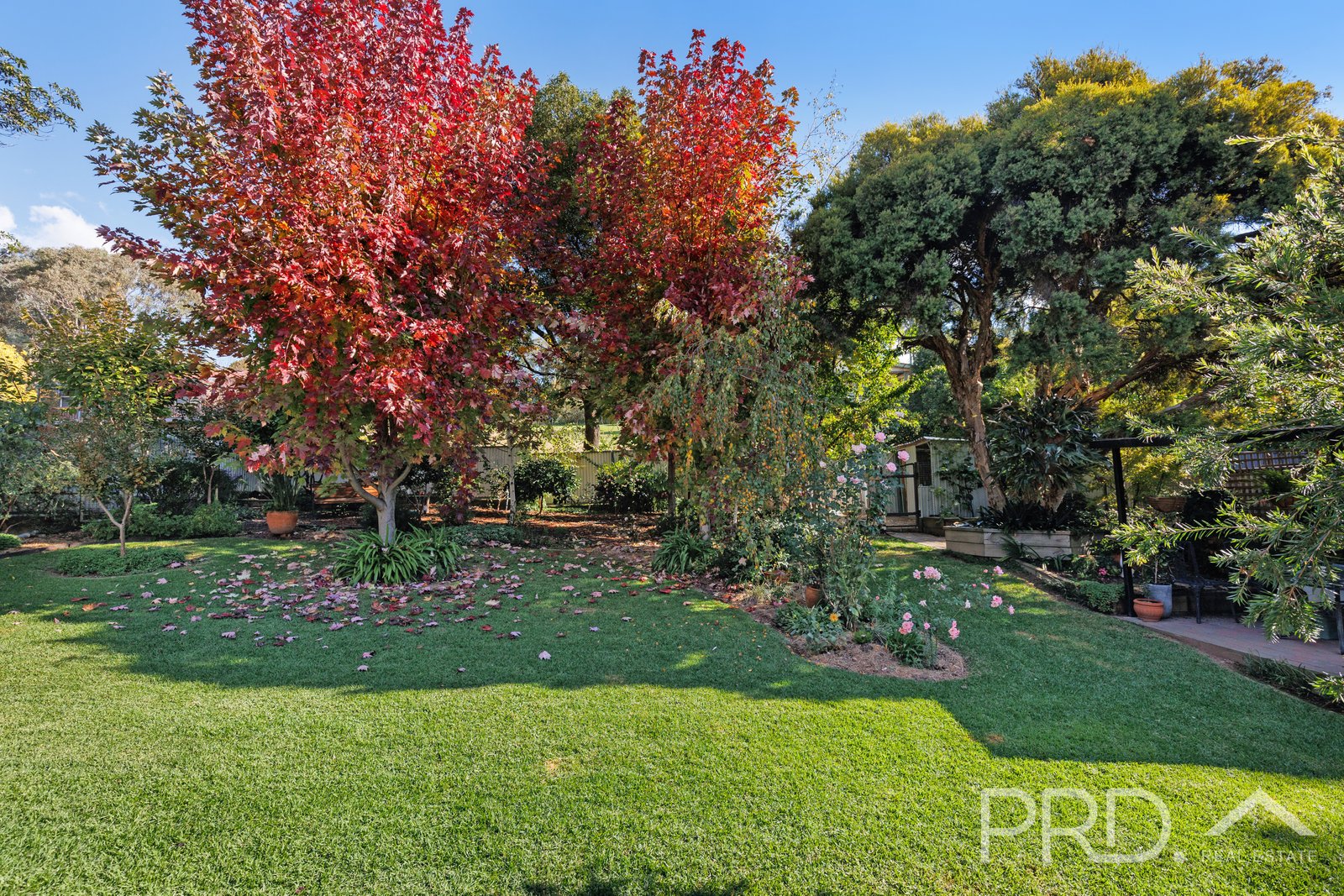 5 Highland Avenue TUMUT 14