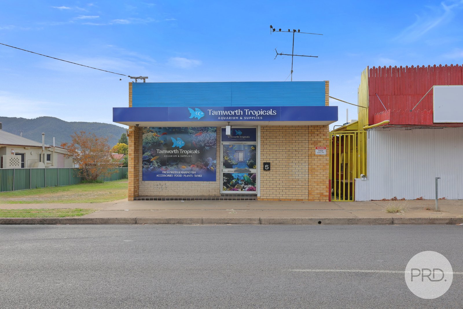5 Hillvue Road TAMWORTH 1