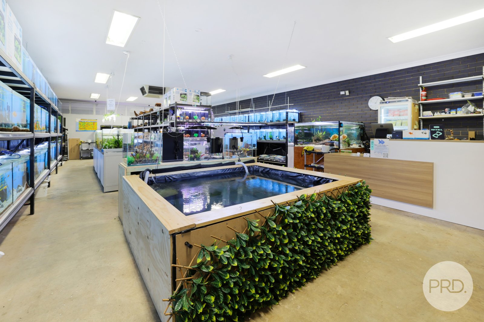 5 Hillvue Road TAMWORTH 5