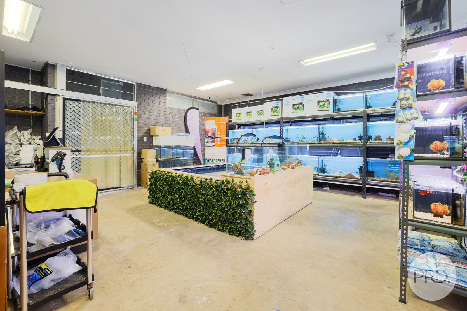 5 Hillvue Road TAMWORTH 9