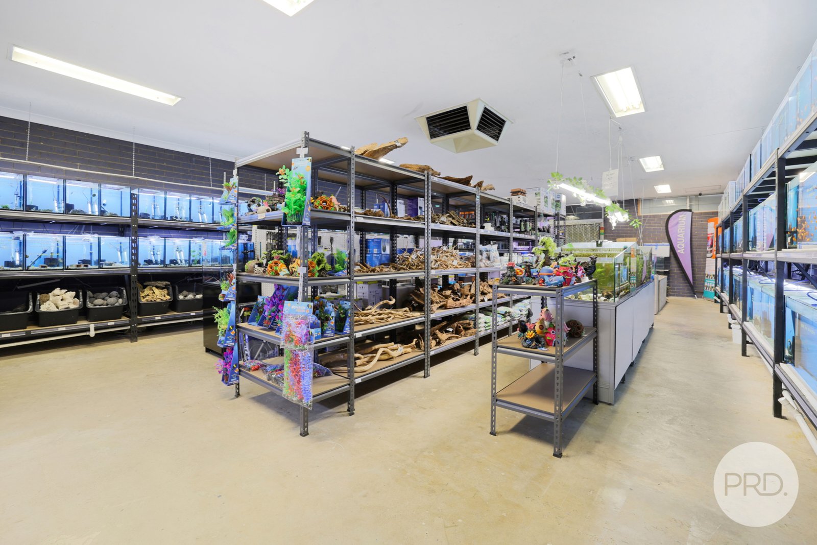 5 Hillvue Road TAMWORTH 10