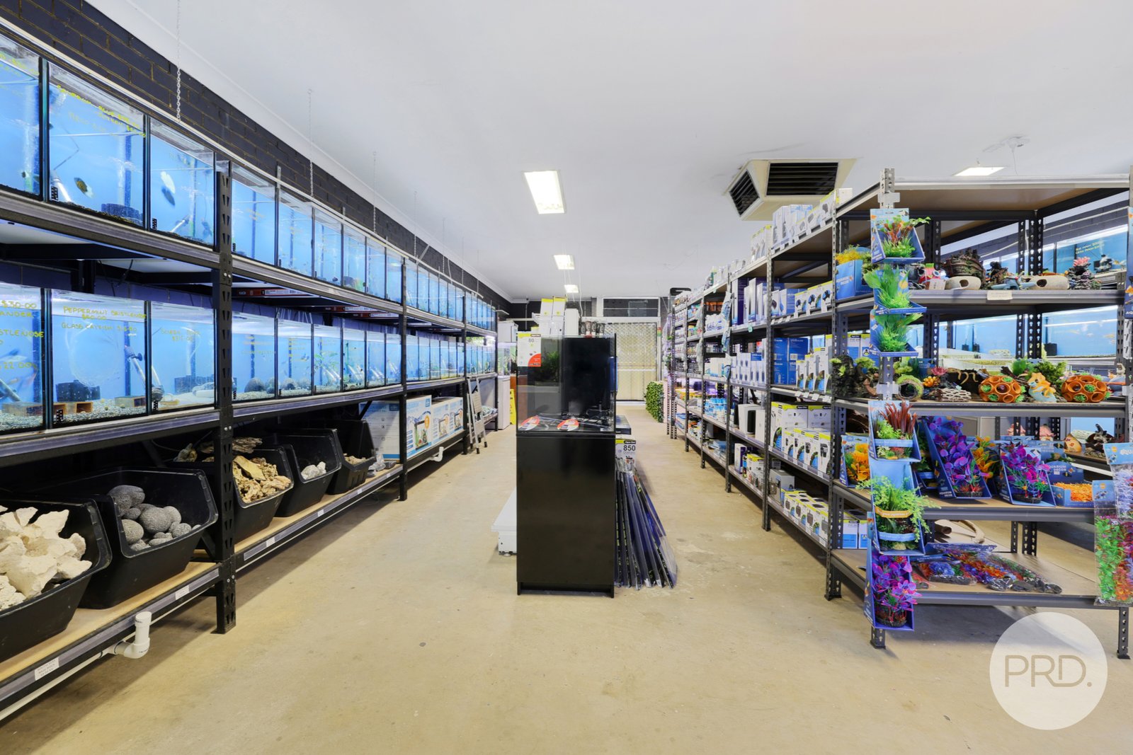 5 Hillvue Road TAMWORTH 11