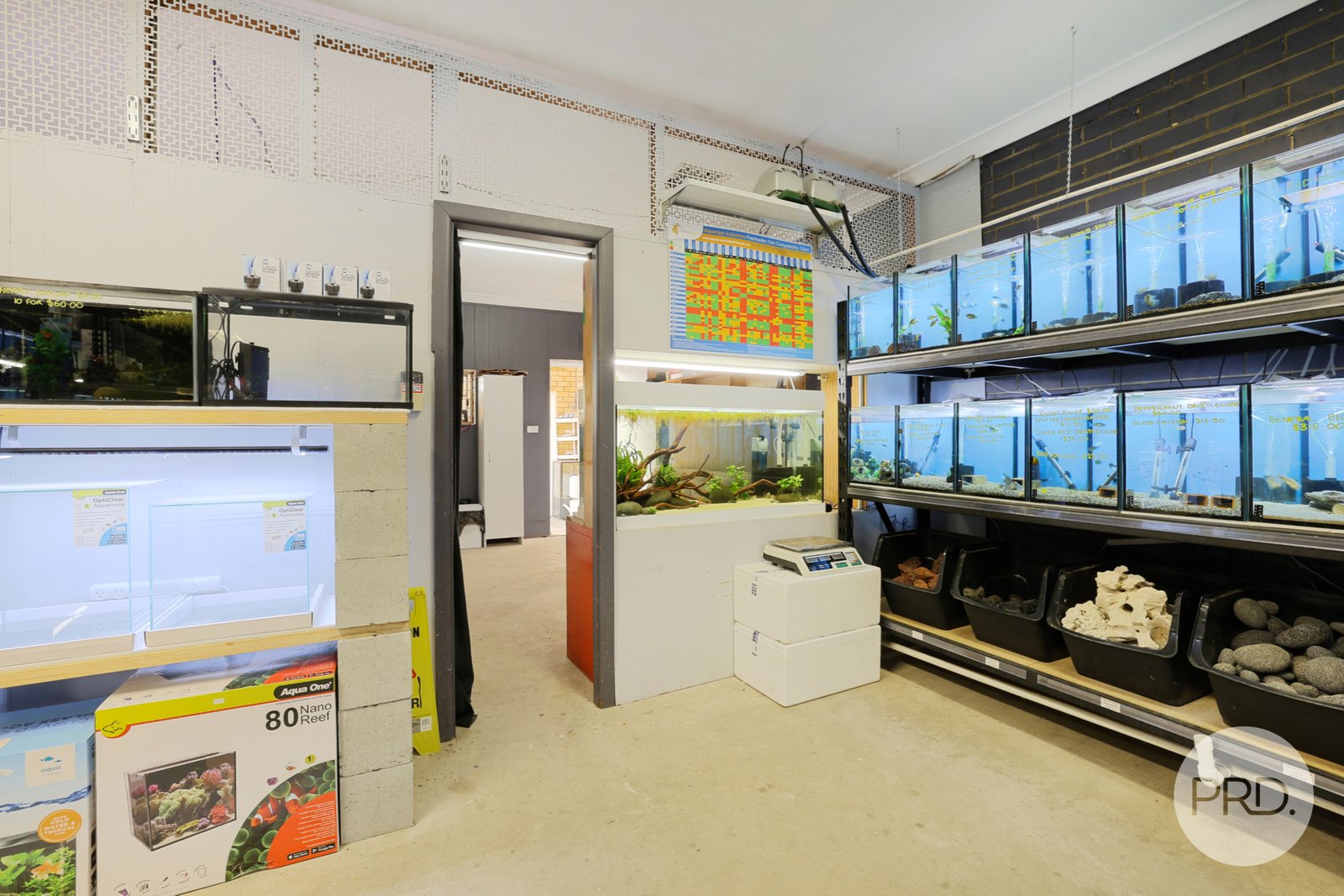 5 Hillvue Road TAMWORTH 12