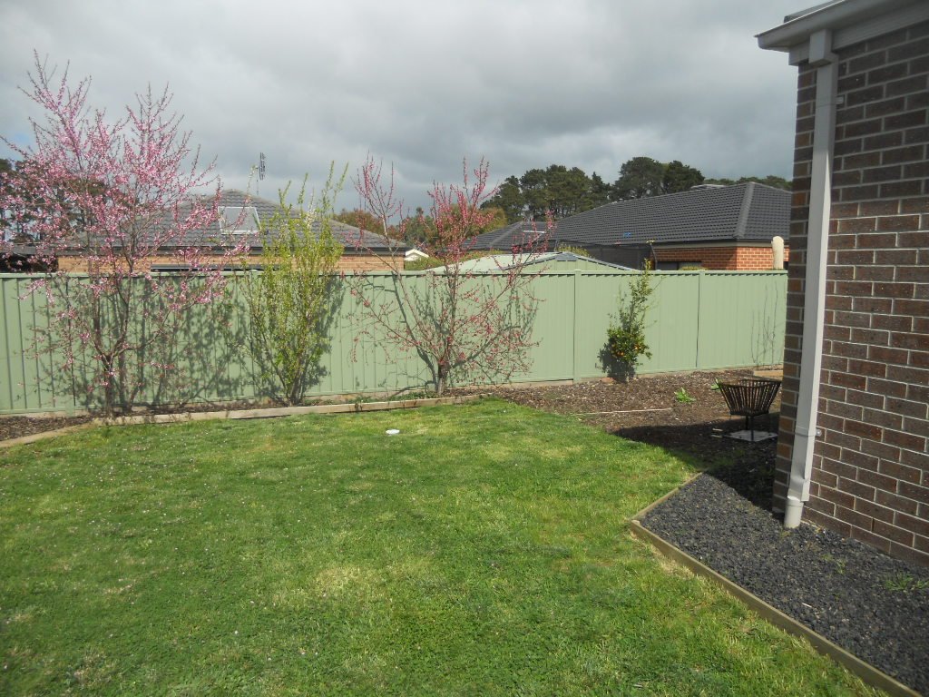 5 Hodge Street MINERS REST 11