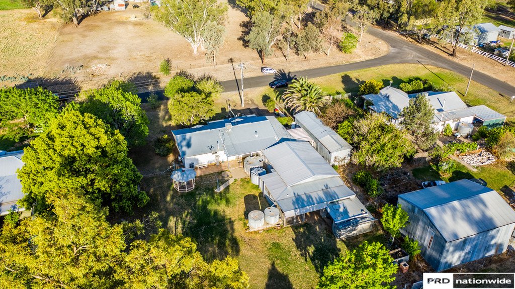 5 Holroyd Street TAMWORTH 22