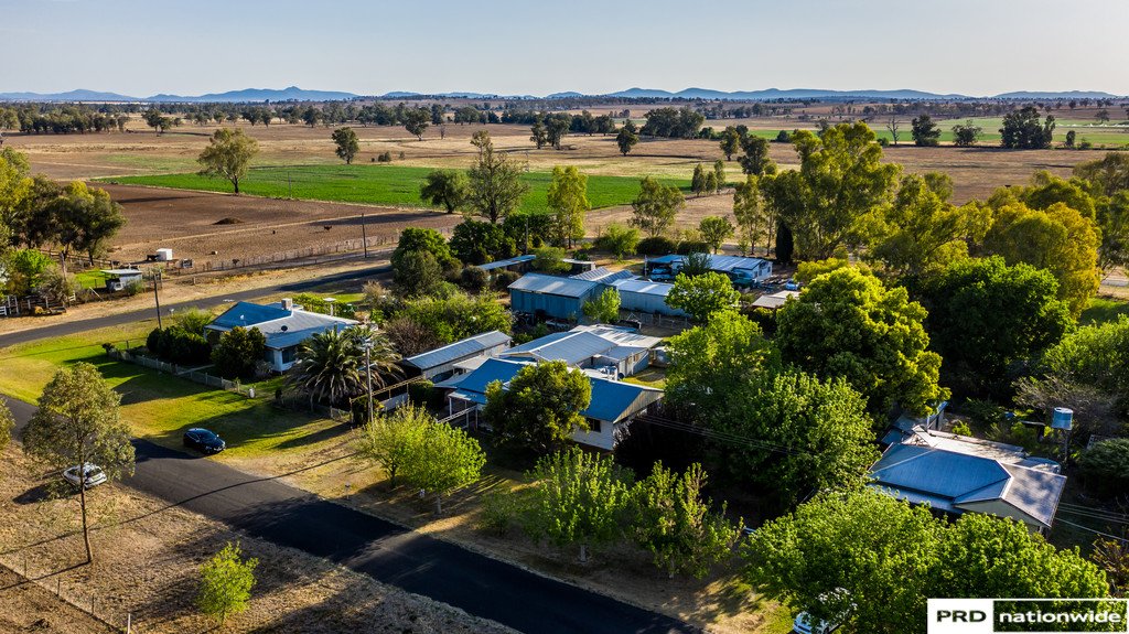 5 Holroyd Street TAMWORTH 24