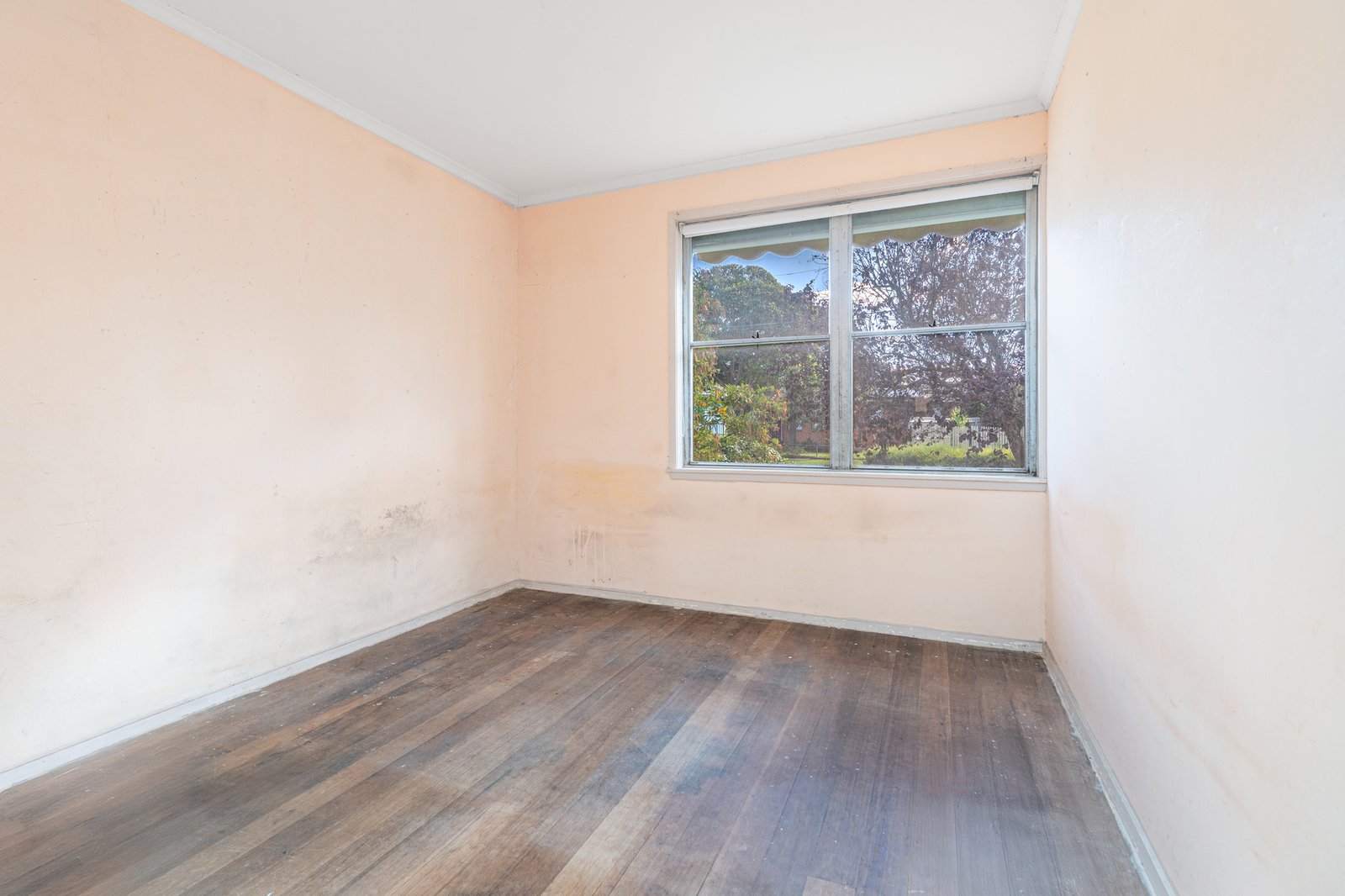 Gallery: 5 Idaho Street