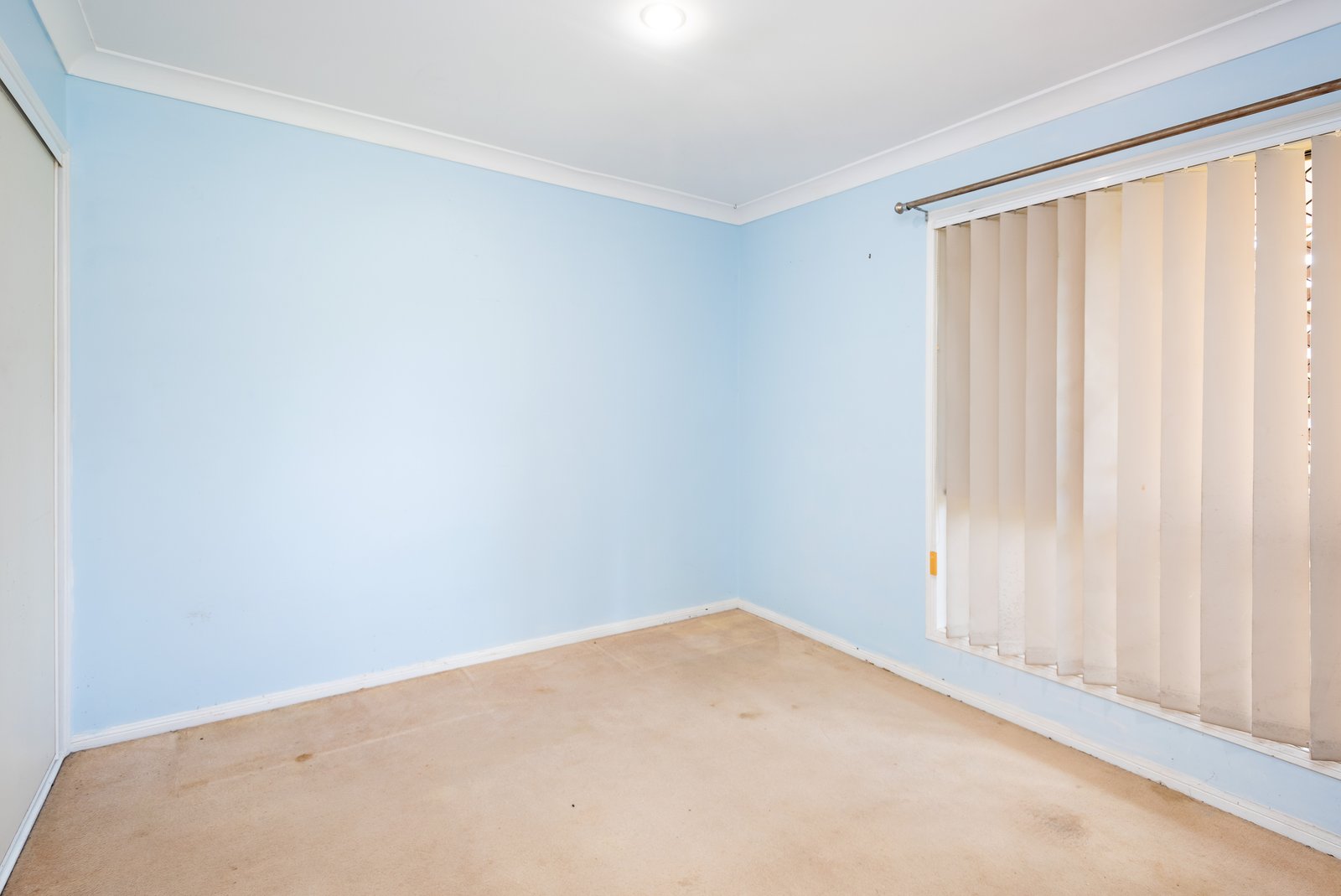 5 Macadamia Drive ORMEAU 7