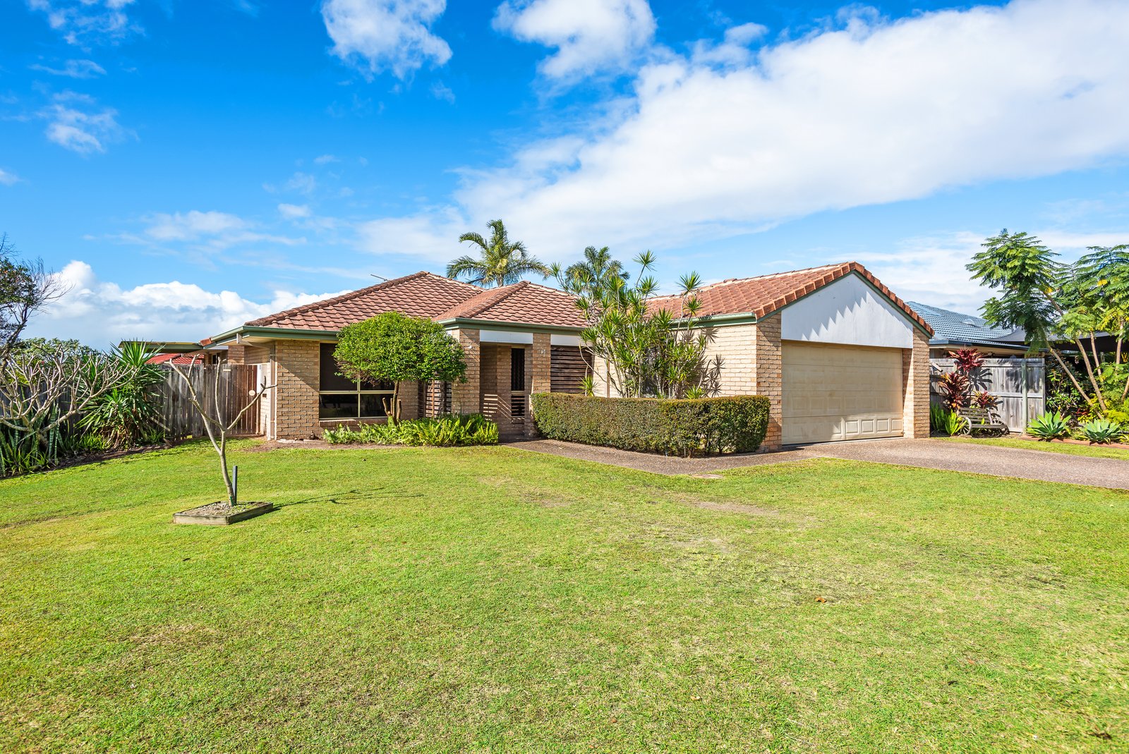 5 Macadamia Drive ORMEAU 16