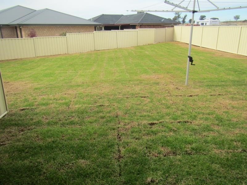 5 Magpie Drive TAMWORTH 5