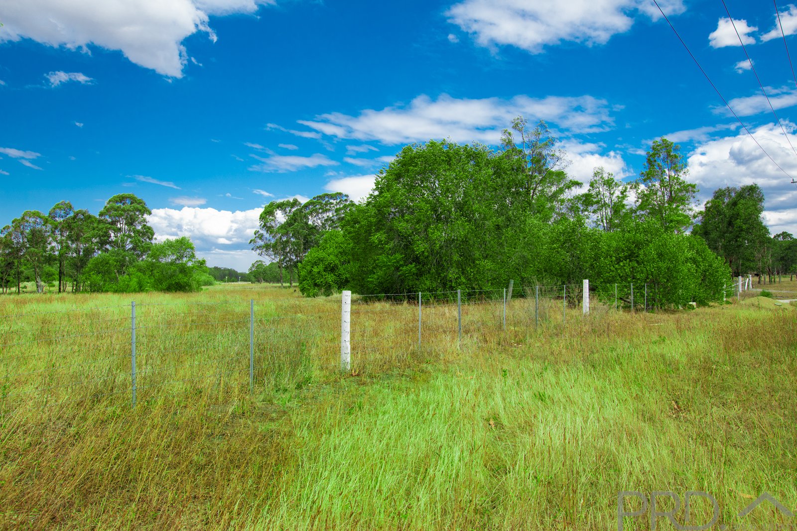 5 Mansfield  GRETA 1