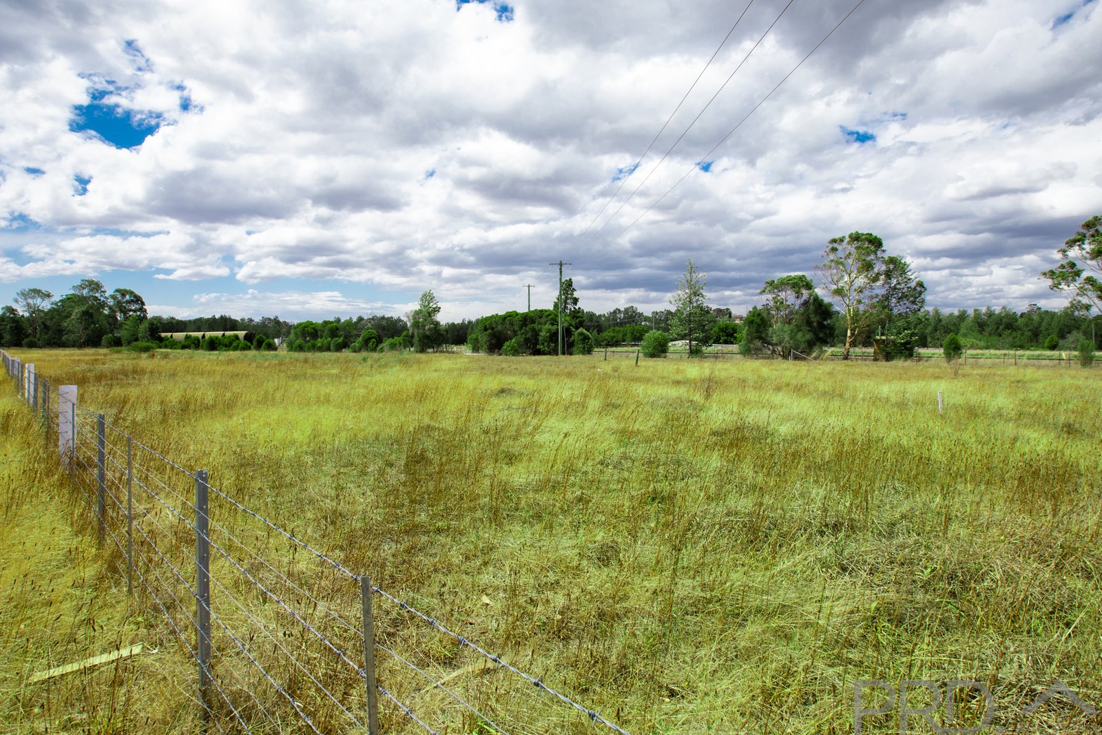 5 Mansfield  GRETA 3