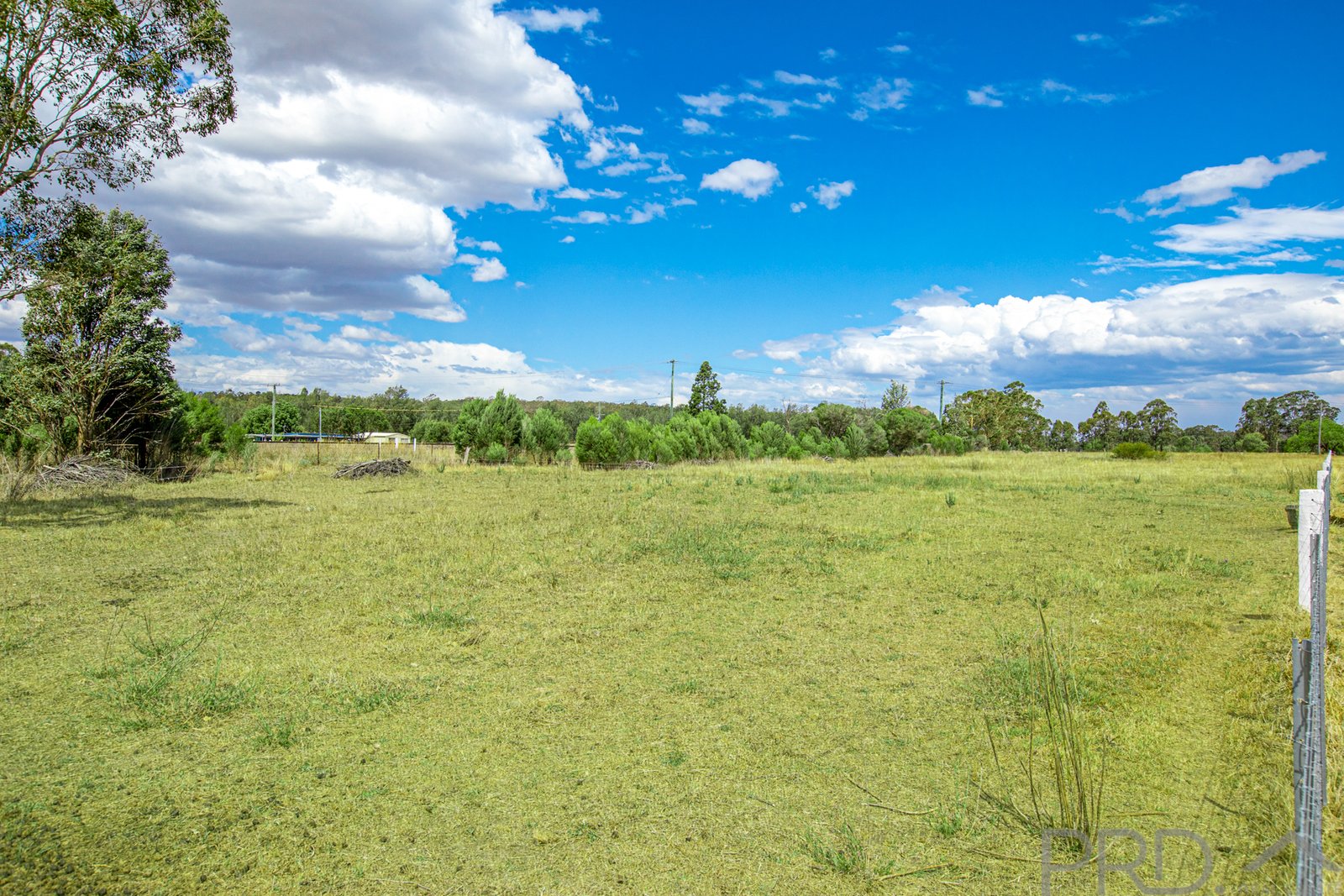 5 Mansfield  GRETA 4