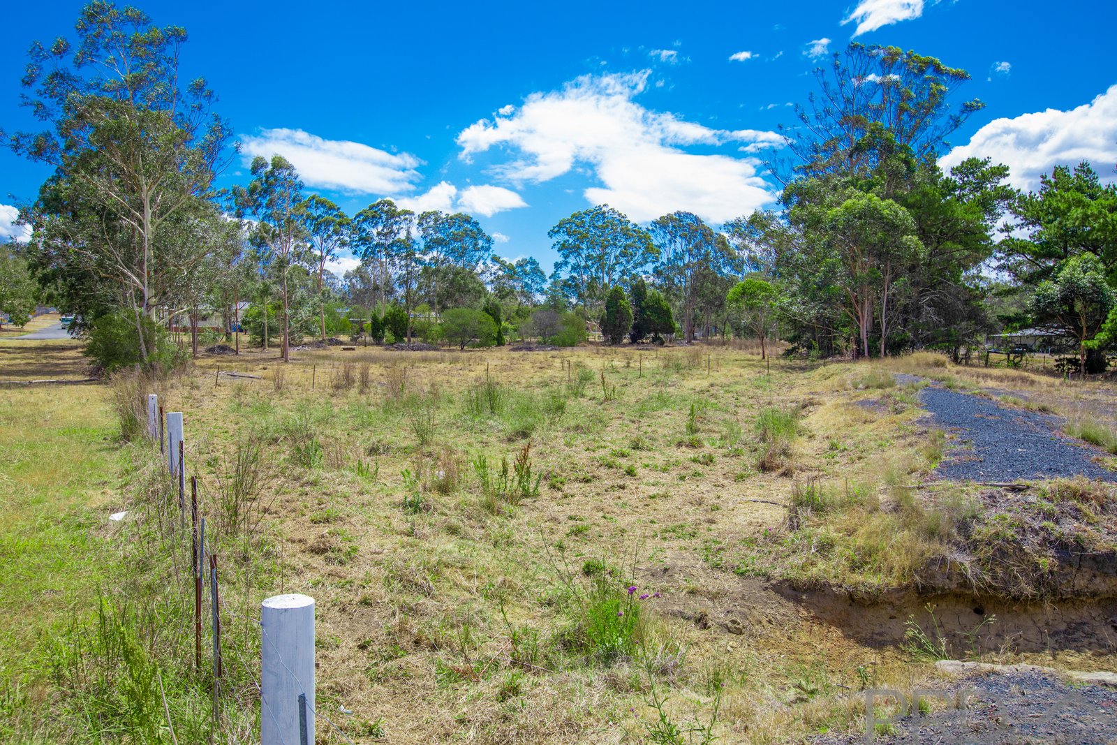 5 Mansfield  GRETA 6