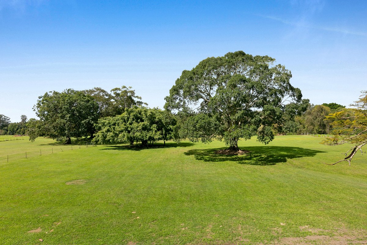 5 Maybree Close Tallebudgera 20