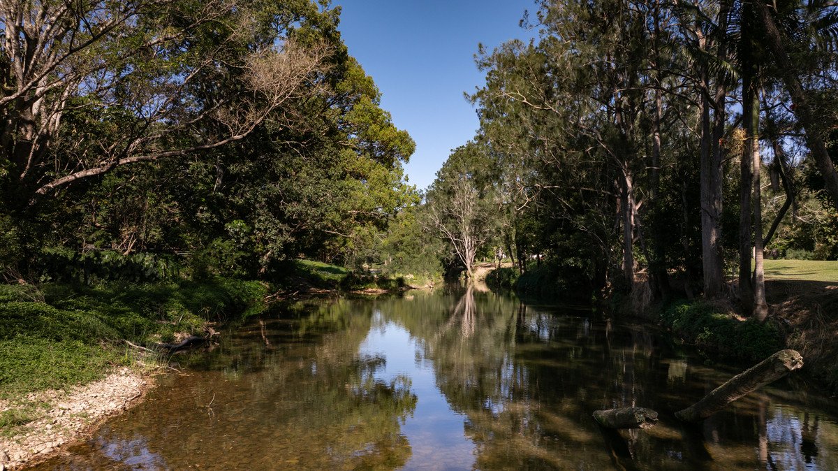 5 Maybree Close Tallebudgera 34