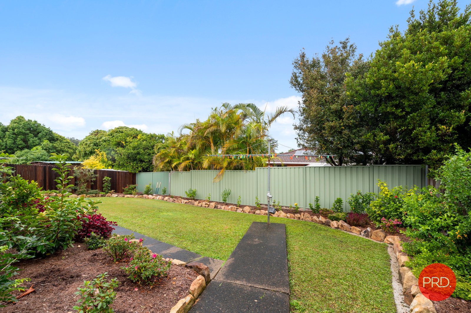 5 McFadyn St  TOORMINA 19