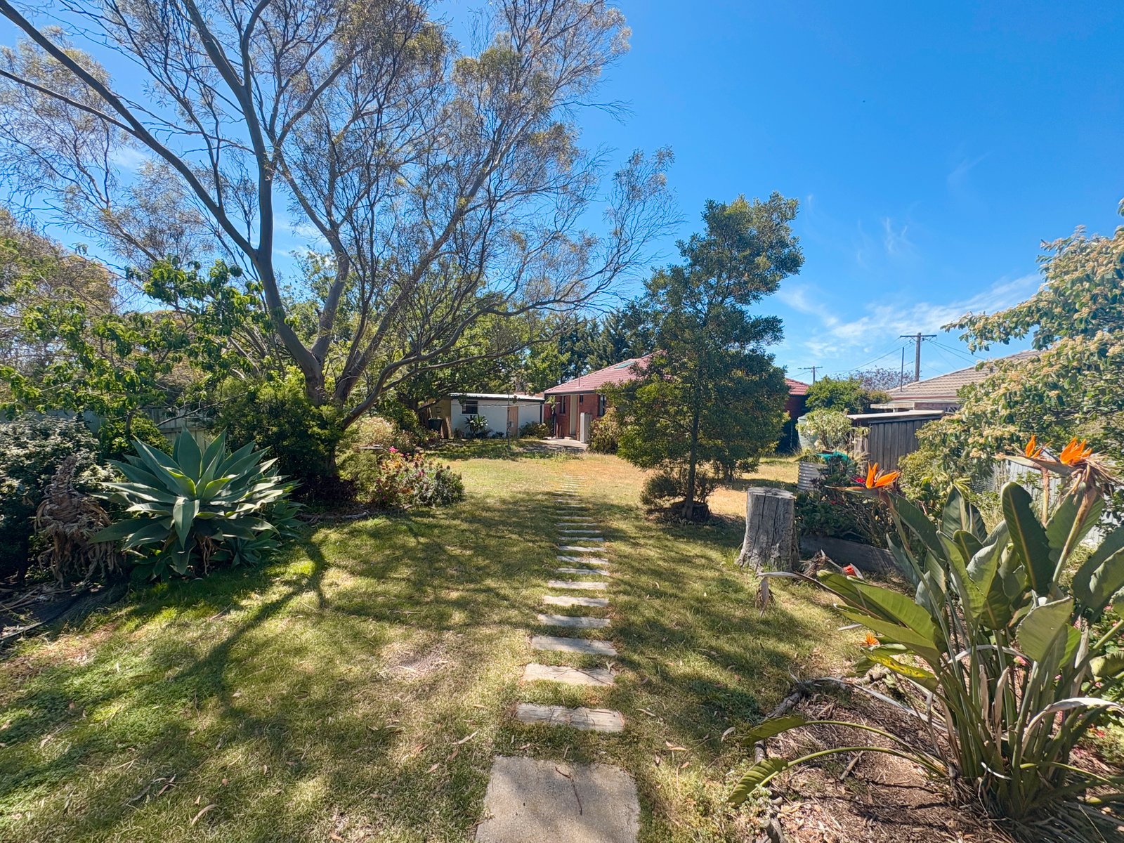 Gallery: 5 Meddings Court