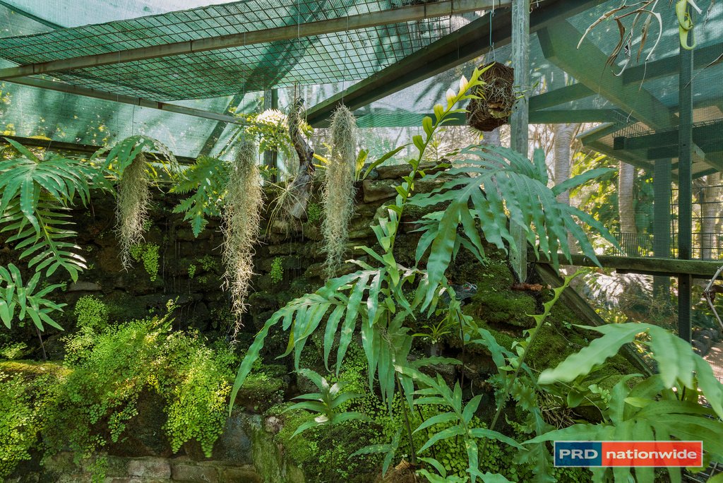 5 Melaleuca Avenue WOOLGOOLGA 6