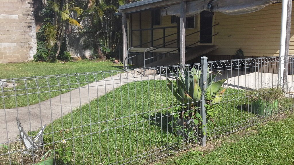 5 Mill Street PROSERPINE 6