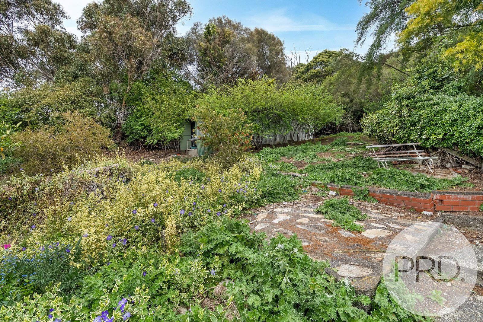 5 Mimosa Court BERRIEDALE 19