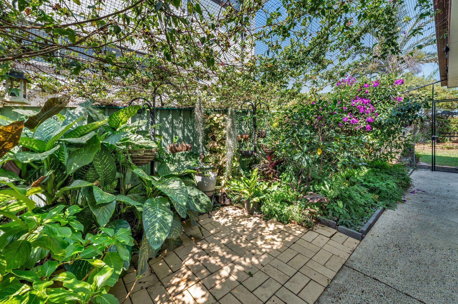 5 Mitchell Avenue MOLENDINAR 11