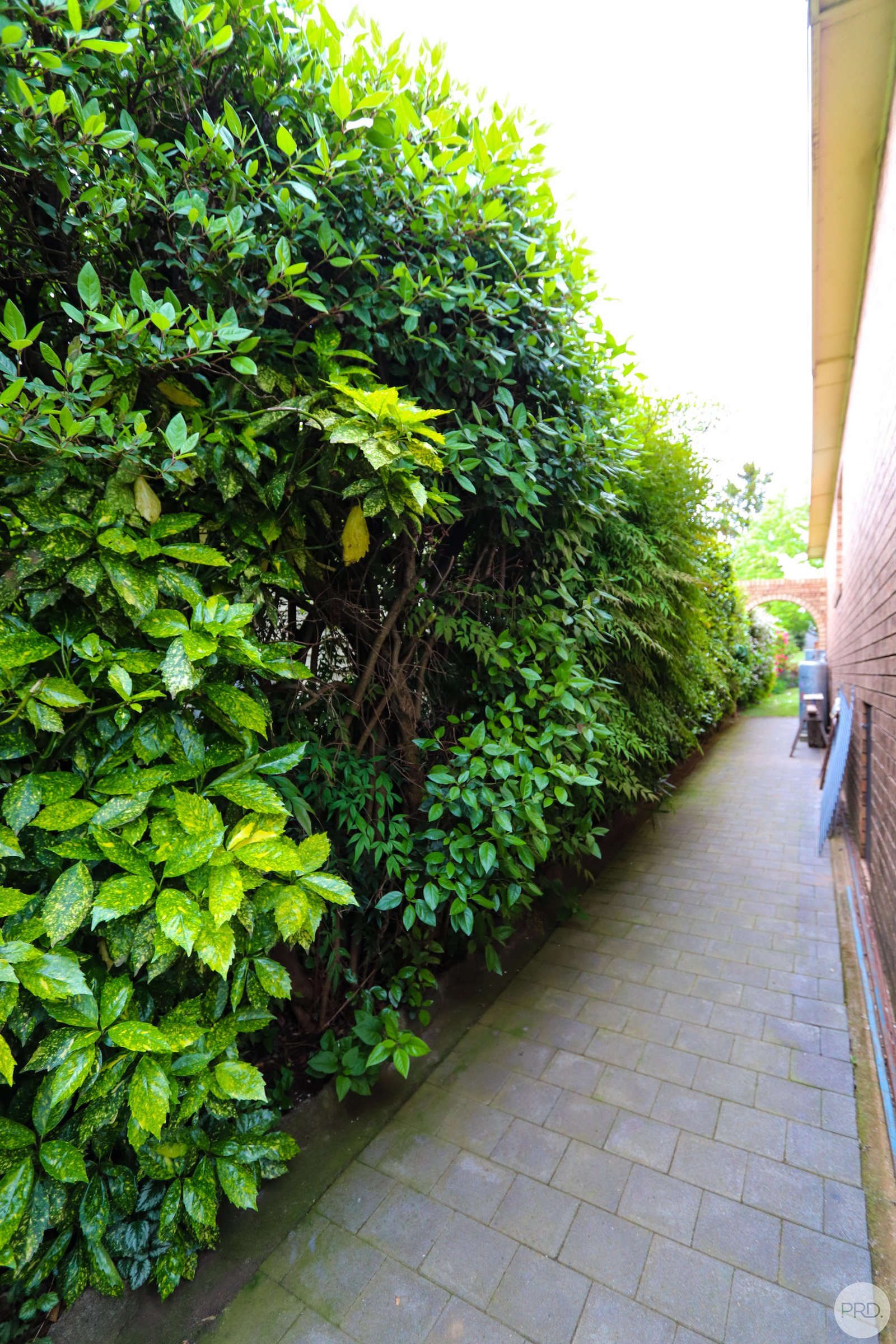 5 Murray Street TUMBARUMBA 16