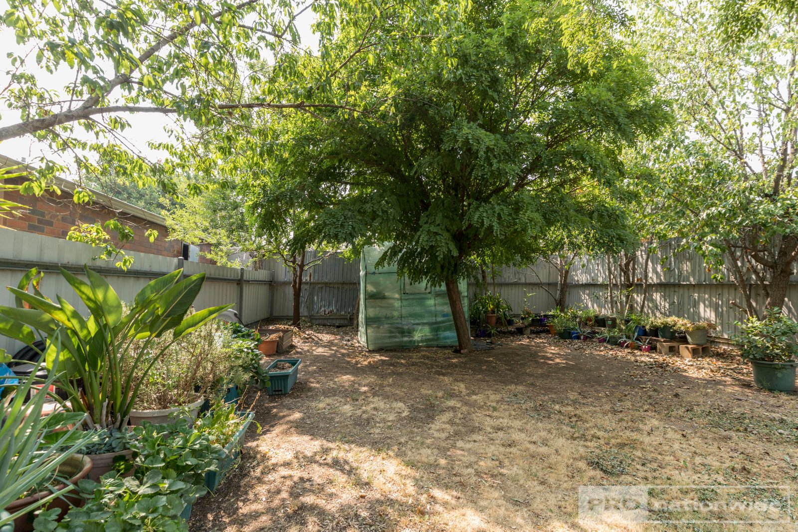 5 Neill Street ADELONG 9