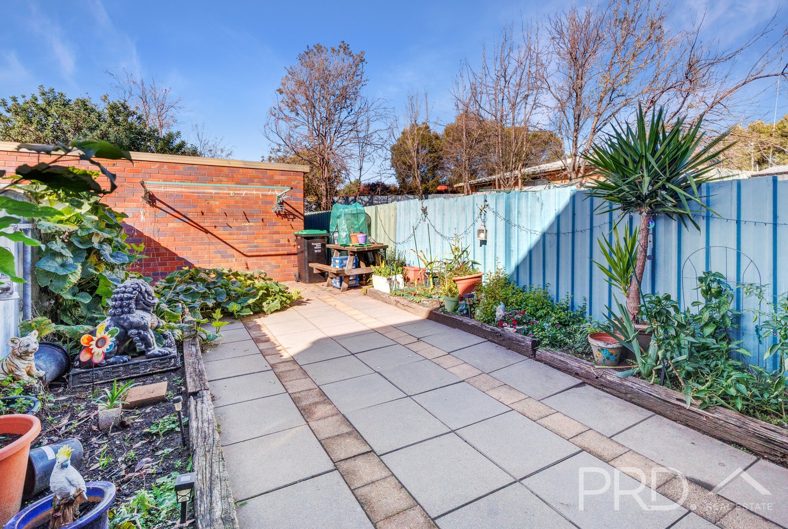 5 Neill Street ADELONG 22