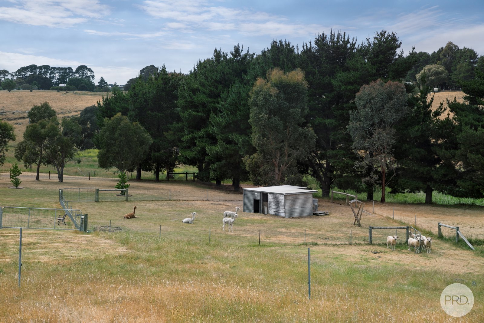 5 Pett Street SKIPTON 22