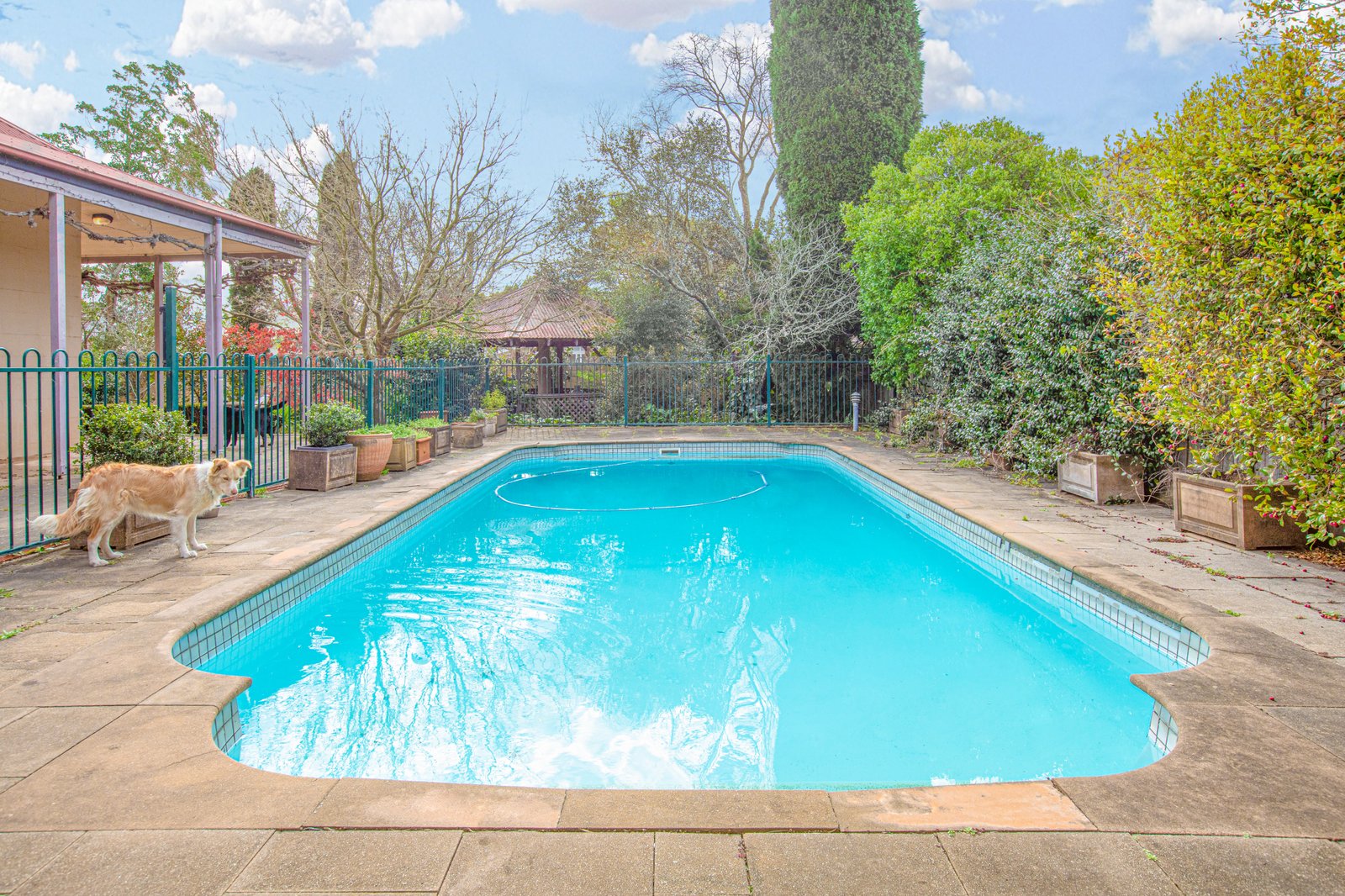 5 Roy Street LORN 26