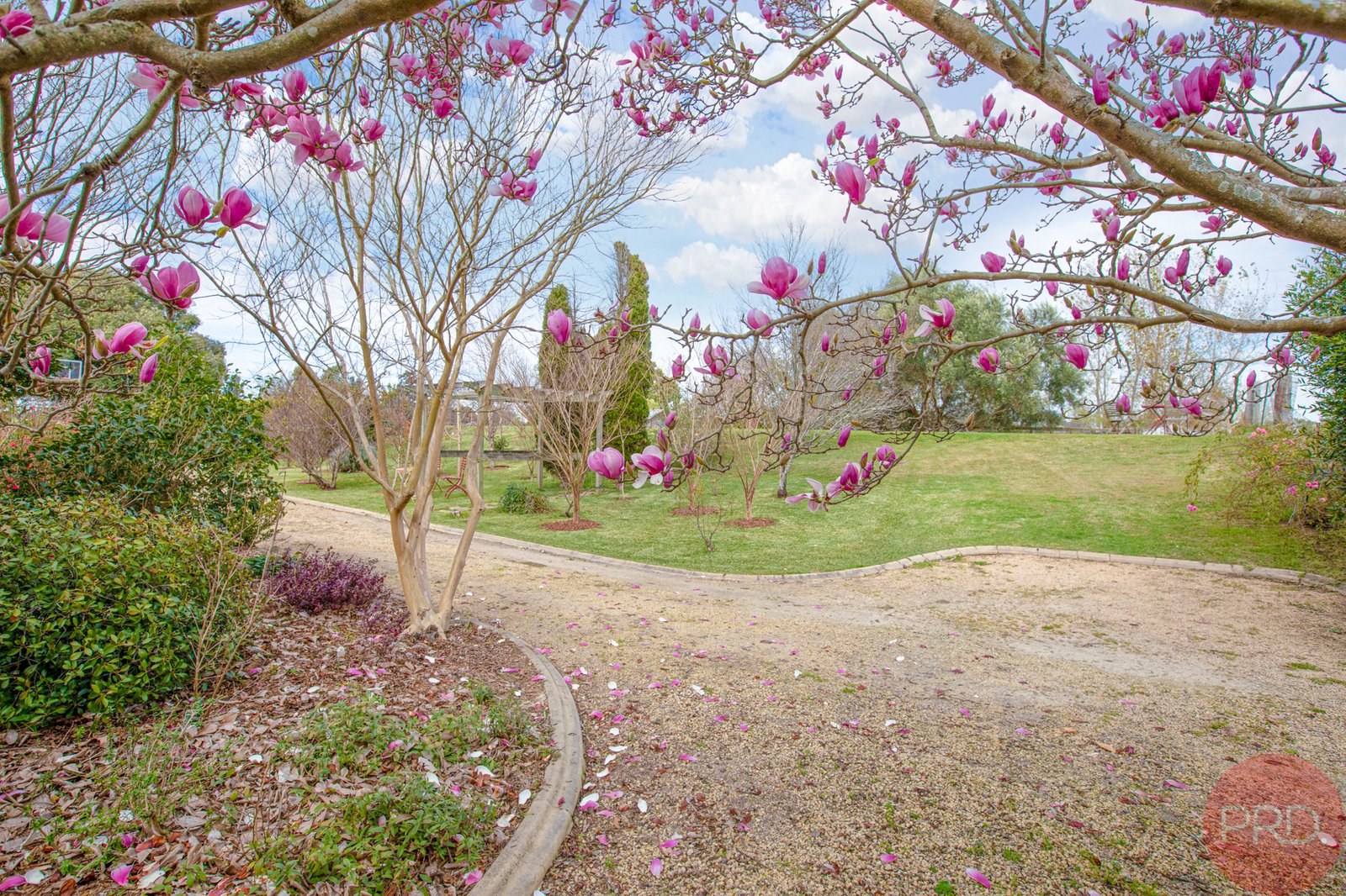 5 Roy Street LORN 30