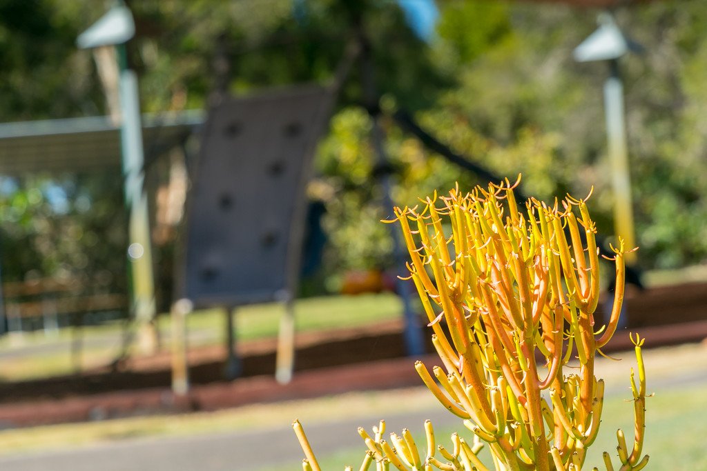 5 Seacrest Drive WONDUNNA 7