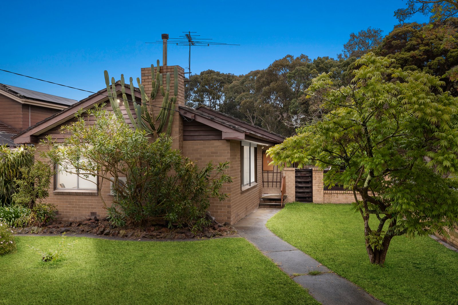 Gallery: 5 Simon Street