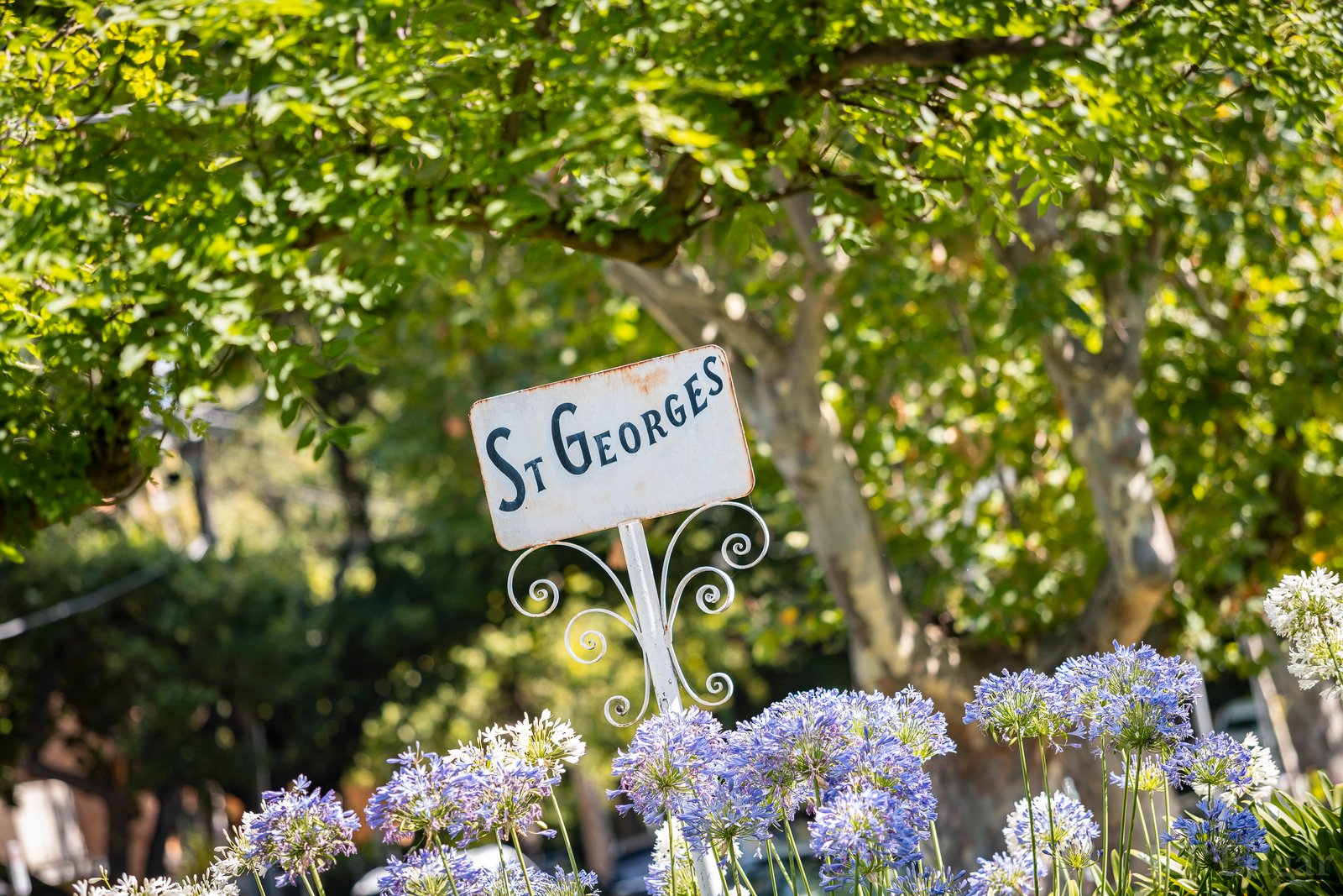 Real Estate and Property in 5 St Georges Road, Toorak, VIC