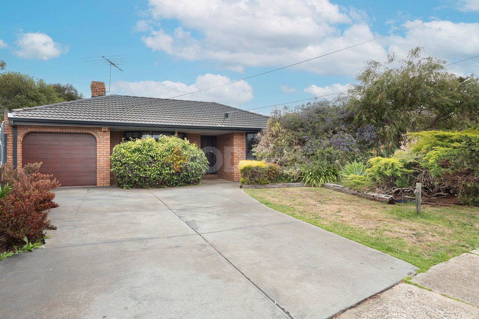 Gallery: 5 Sturrock Court