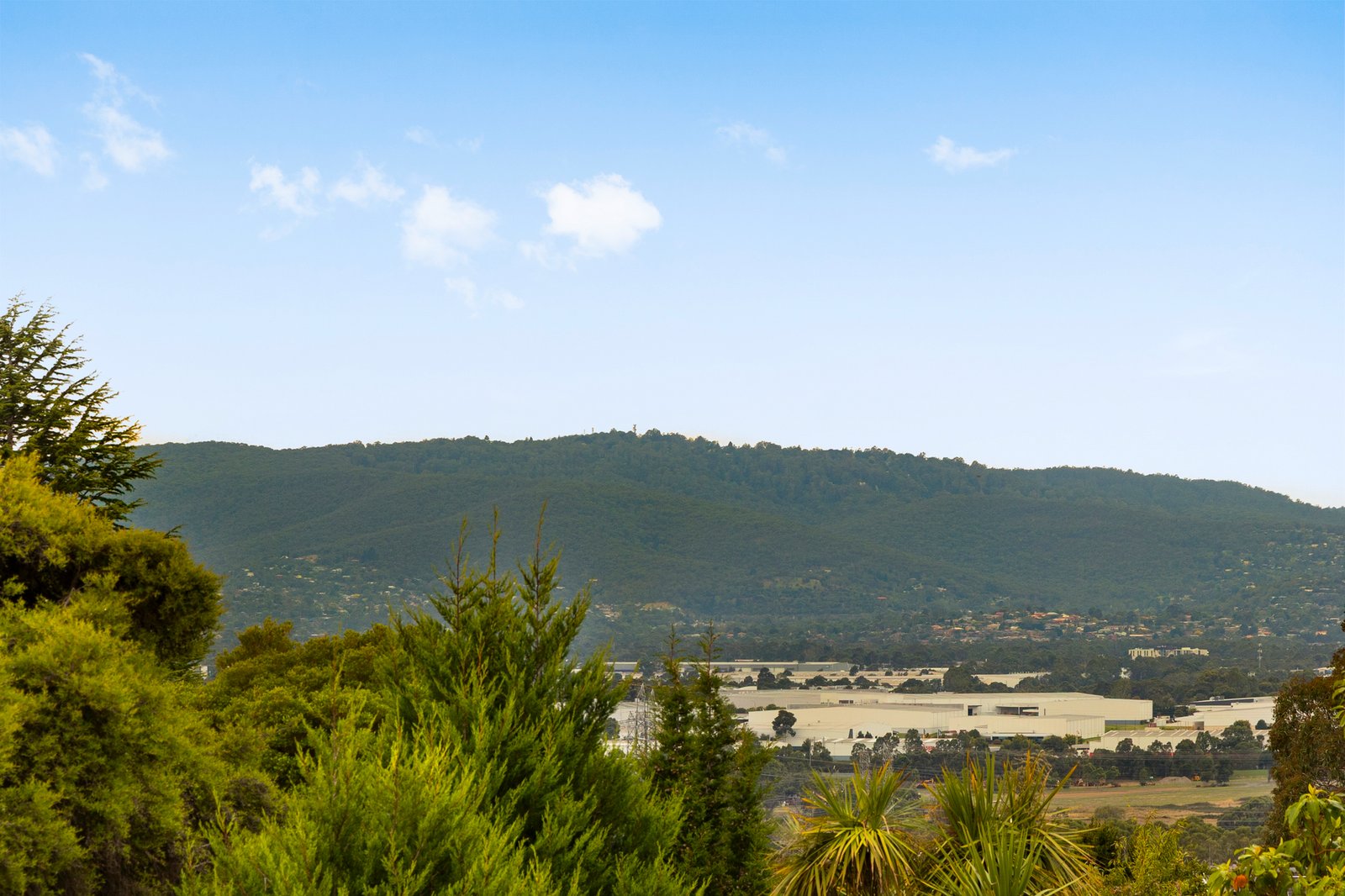 Gallery: 5 Thurza Court