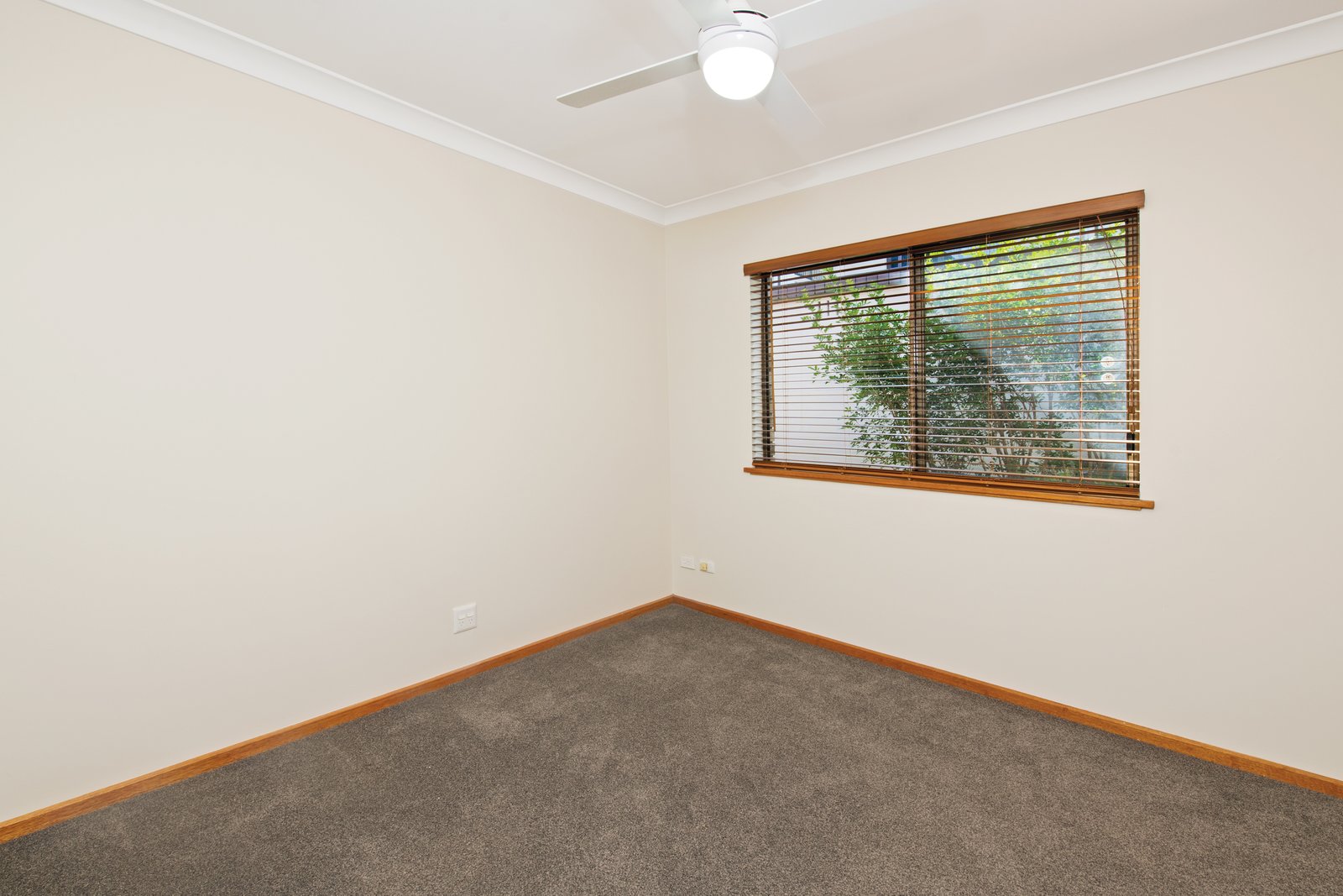 5 Unique Close CAMDEN HEAD 12