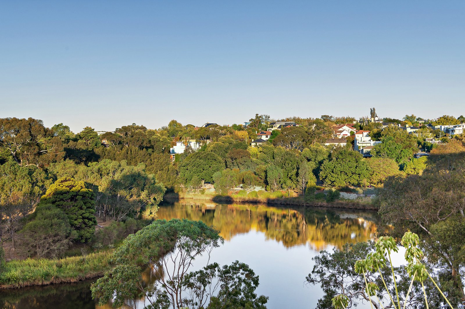 Real Estate and Property in 5 Vista Grove, Toorak, VIC